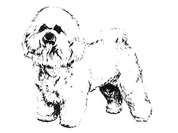 Dog Images