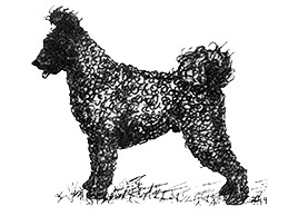 Dog Images