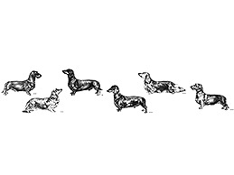 Dog Images