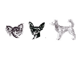 Dog Images